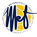 WATERPOLO MILANO METANOPOLI